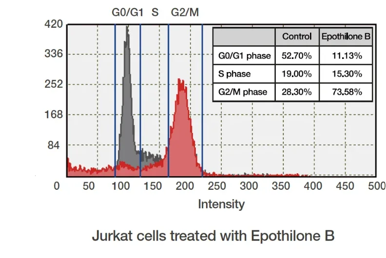 ADAM II™ LS – Analizador Fluorescencia GFP/RFP/DAPI | NanoEntek
