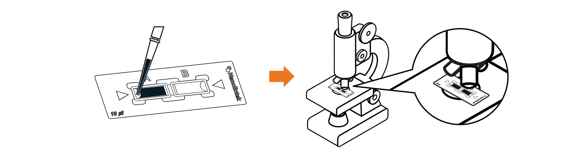 Microscope Cip C-Chip™ – Disposable Hemocytometer | NanoEntek